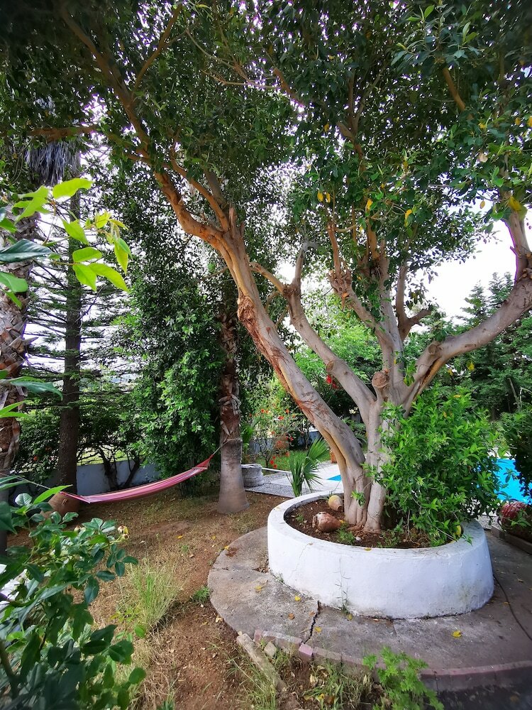 Фото Villa Irene