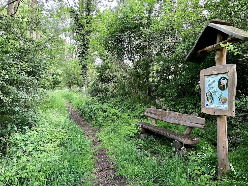 Фото Berghotel Rotstein