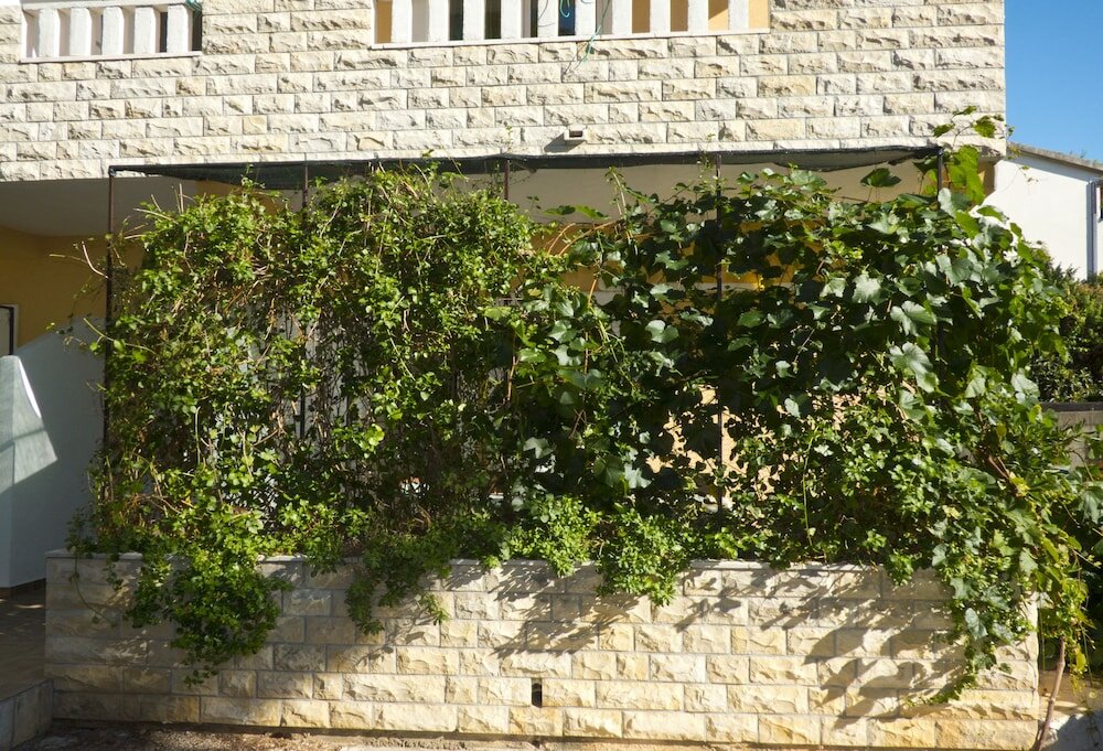 Фото Apartments Plaza