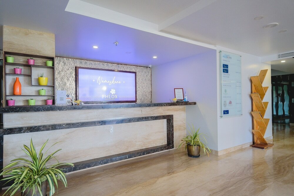 Фото The Phlox Hubballi