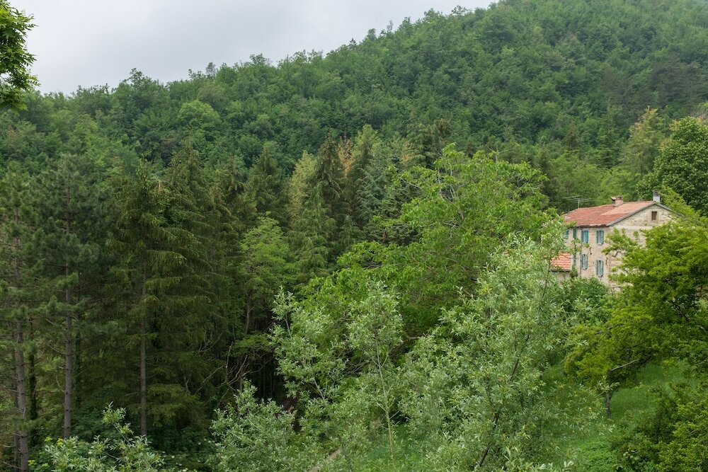 Фото Agriturismo Antico Frutto