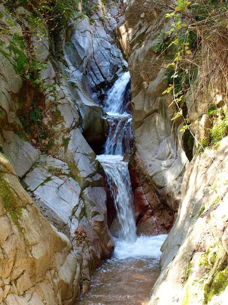 Фото Hostal Montsoliu