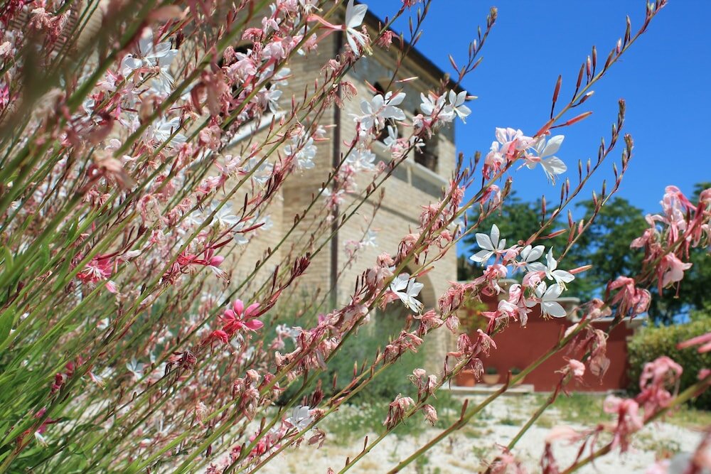 Фото Dimora Rosso Piceno