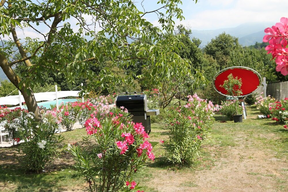 Фото Amata Valgre