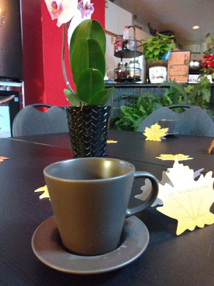 Фото Pied-A-Terre Mont-Royal