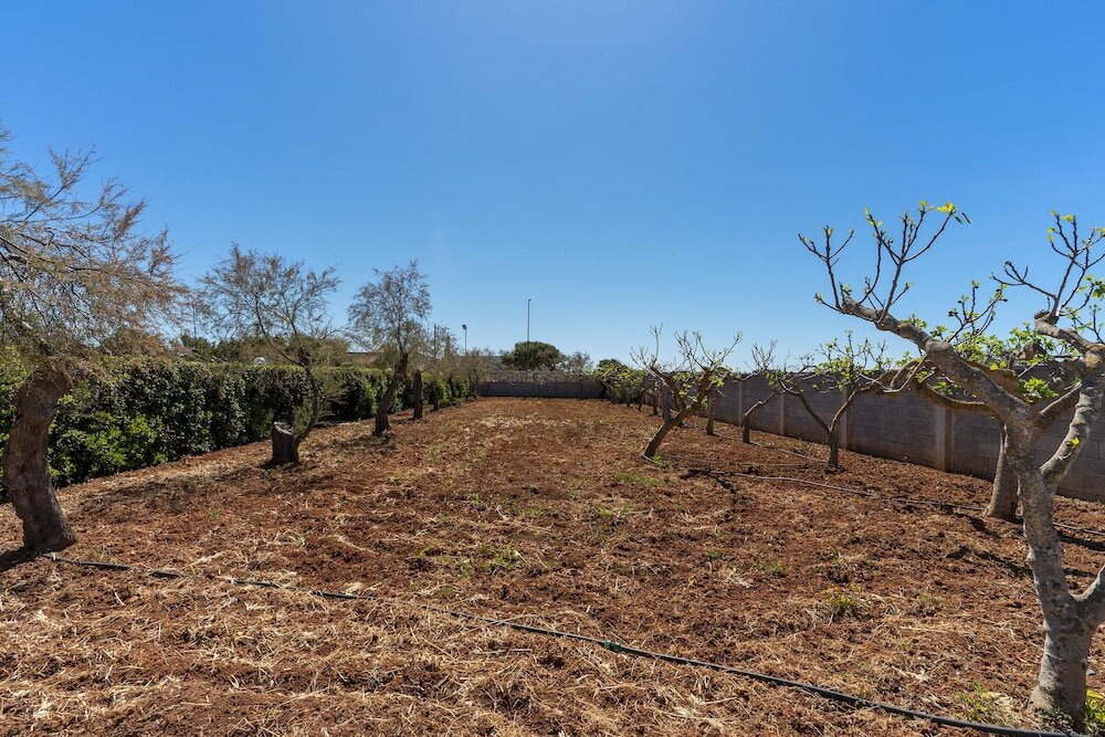 Фото 2844 Villa Colomba - Appartamento C by Barbarhouse