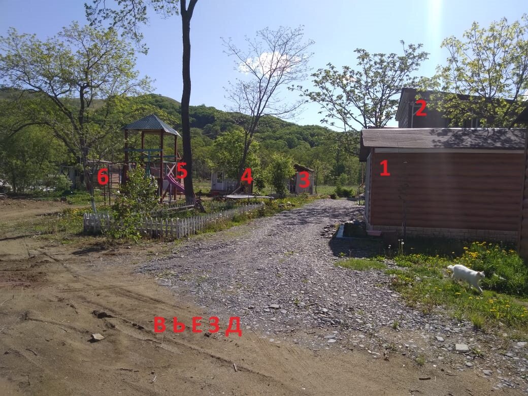 Фото Лесной дворик