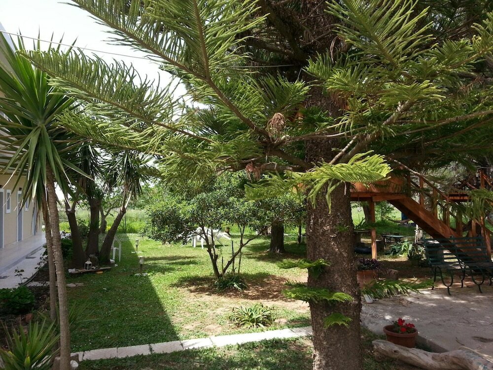 Фото Gongis Studios