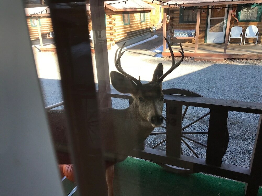 Фото Grandview Cabins & Rv Resort