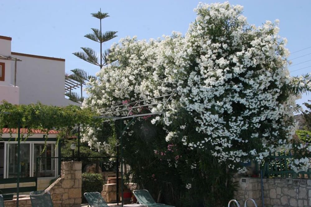 Фото Armonia Hotel