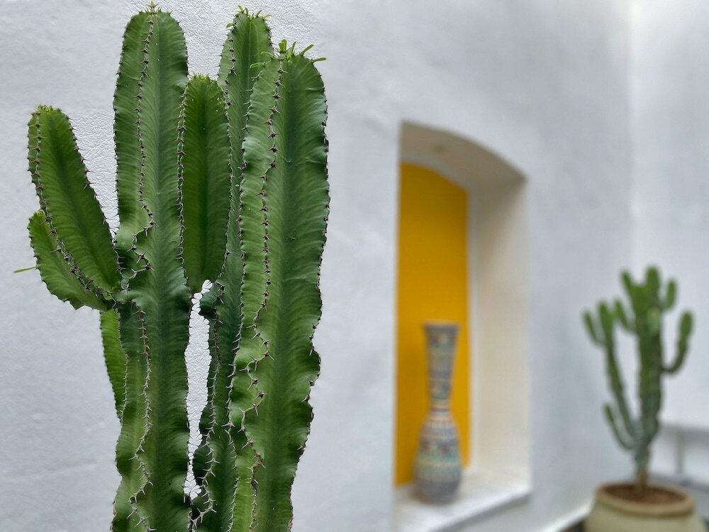 Фото Dar El Kif La Marsa