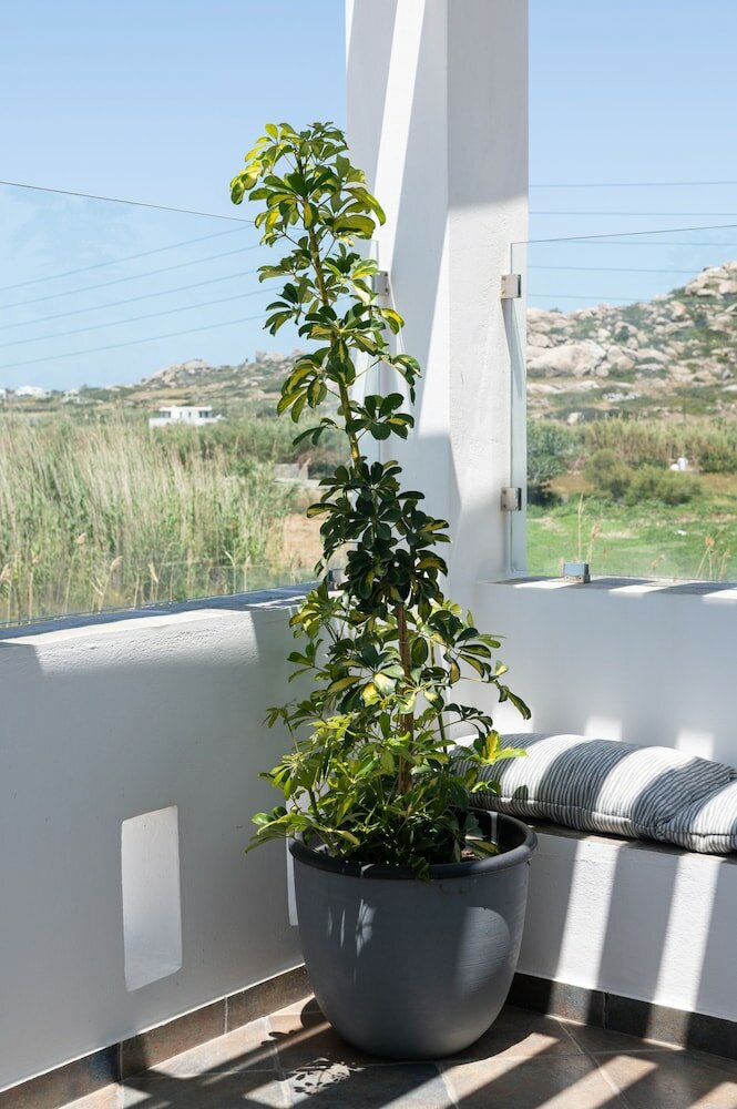 Фото Sea Lilies Suites