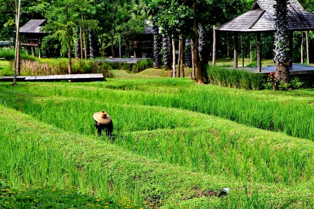Фото Veranda High Resort Chiang Mai - MGallery