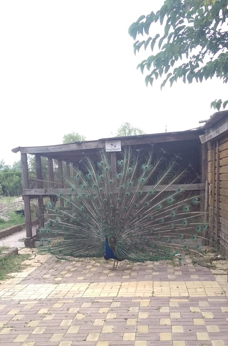 Фото Казантип центр