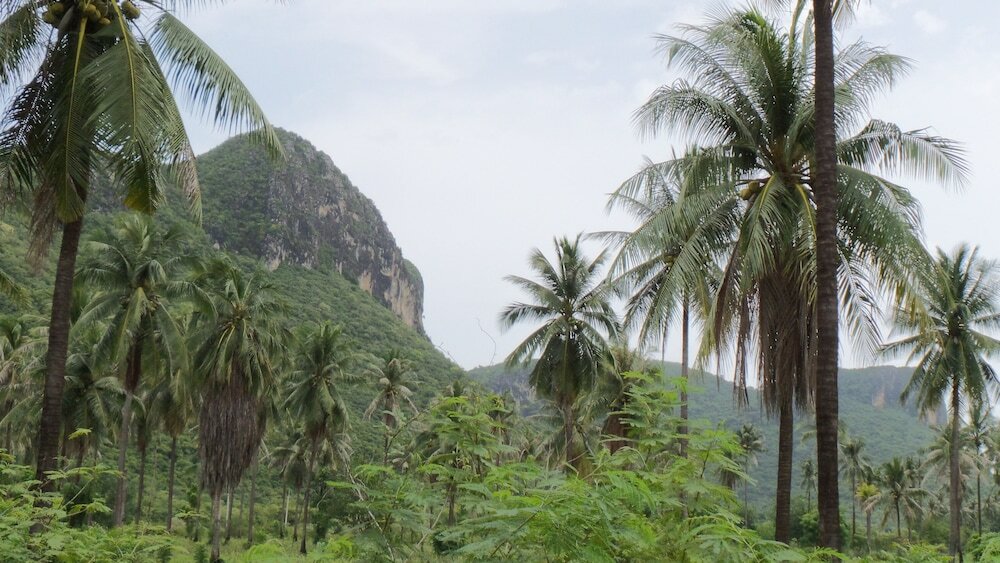 Фото Long Beach Inn