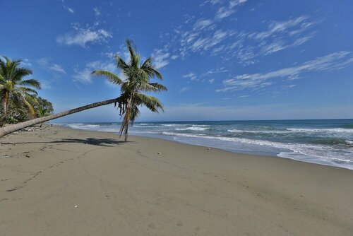 Гостиница The Beachcomber at Las Canas