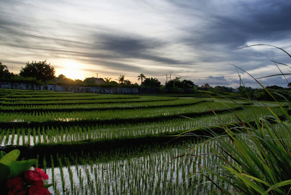 Фото Ngeluwungan Boutique Villa