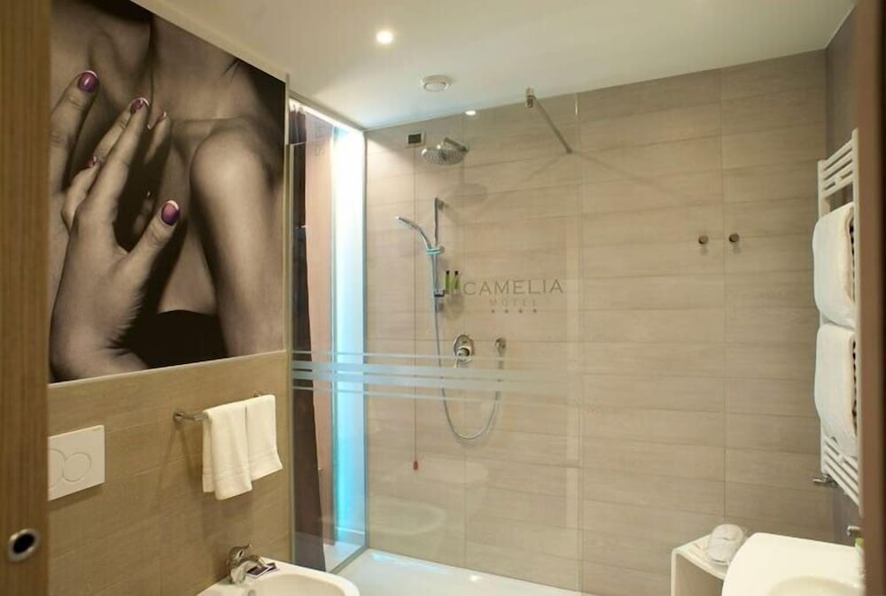 Фото Hotel Camelia