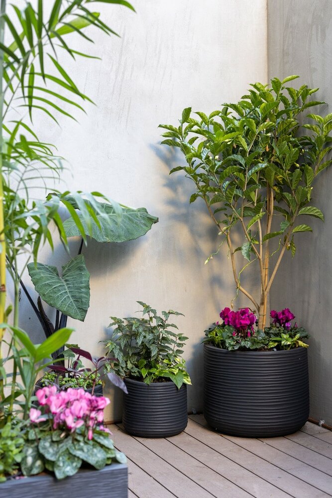 Фото Ecletic by Tlv2rent