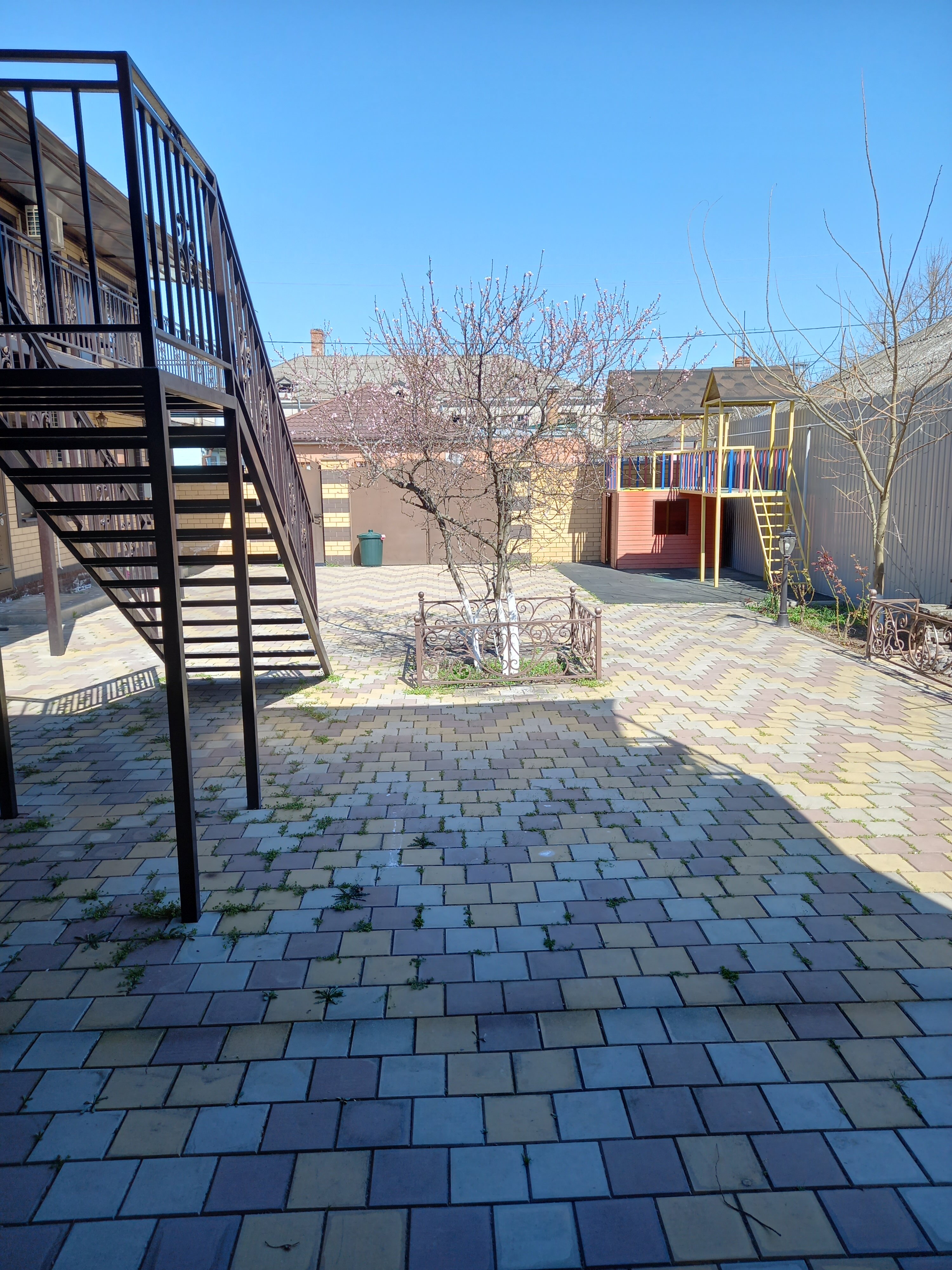 Фото Персик