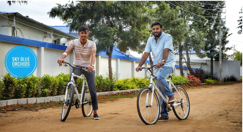 Фото SV Sky Blue Orchids