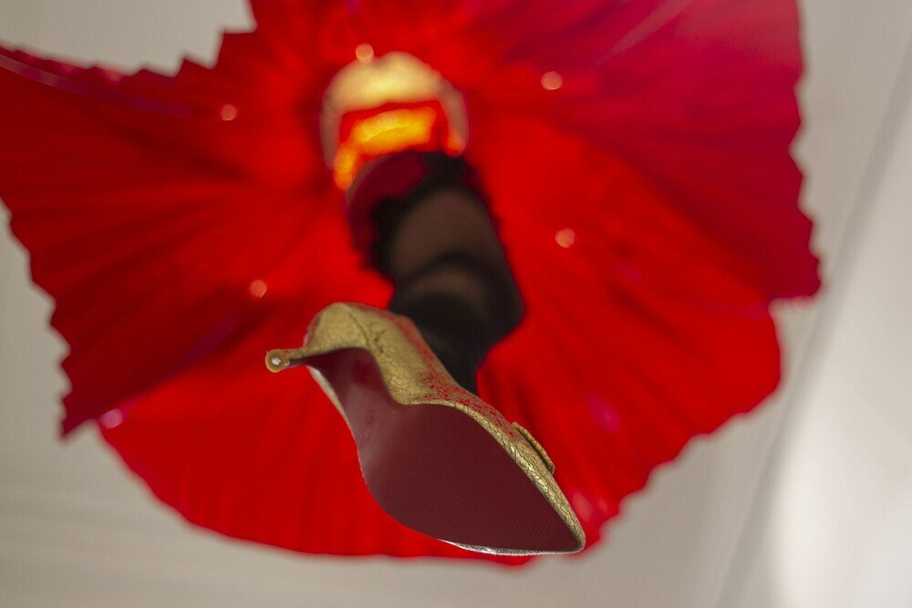 Фото Le Palais du Sud