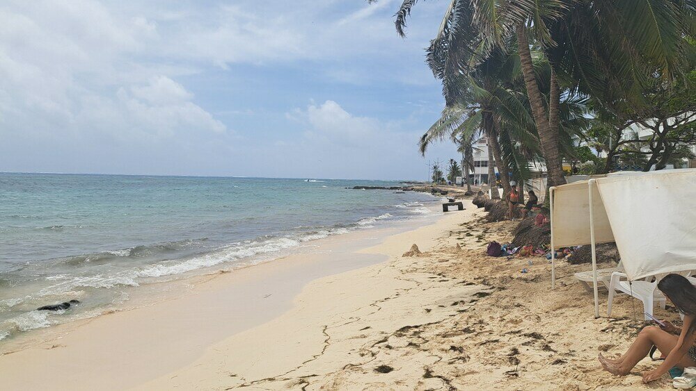 Фото Hotel Ocean Paradise