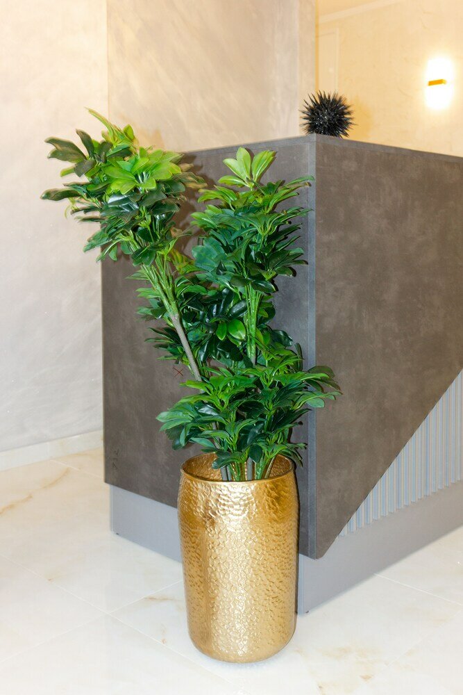 Фото Irini Luxury Rooms