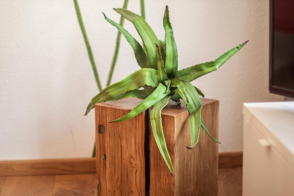 Фото Wohnen im Herzen der Altstadt