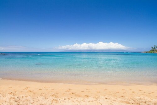Гостиница Napili Bay 204 Studio Bedroom Condo by Redawning