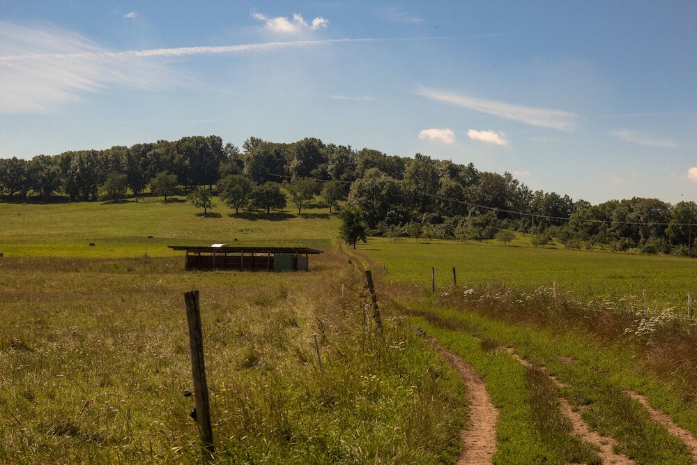 Фото Biohotel Stiftsgut Wilhelmsglücksbrunn