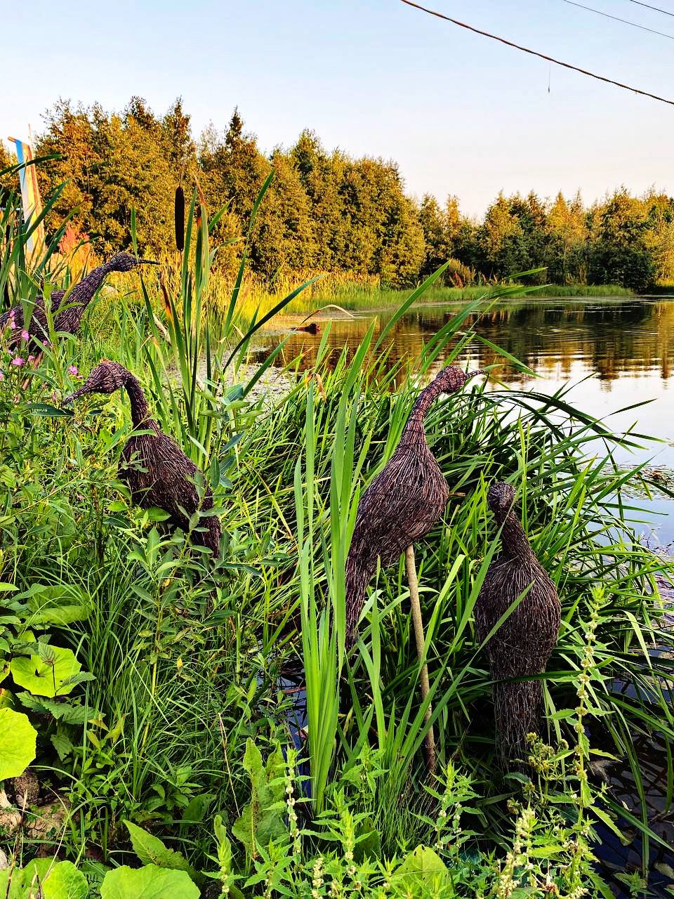 Фото Мишка на прудах