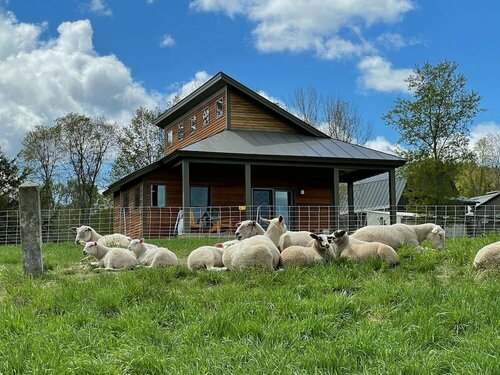 Гостиница Fat Sheep Farm & Cabins