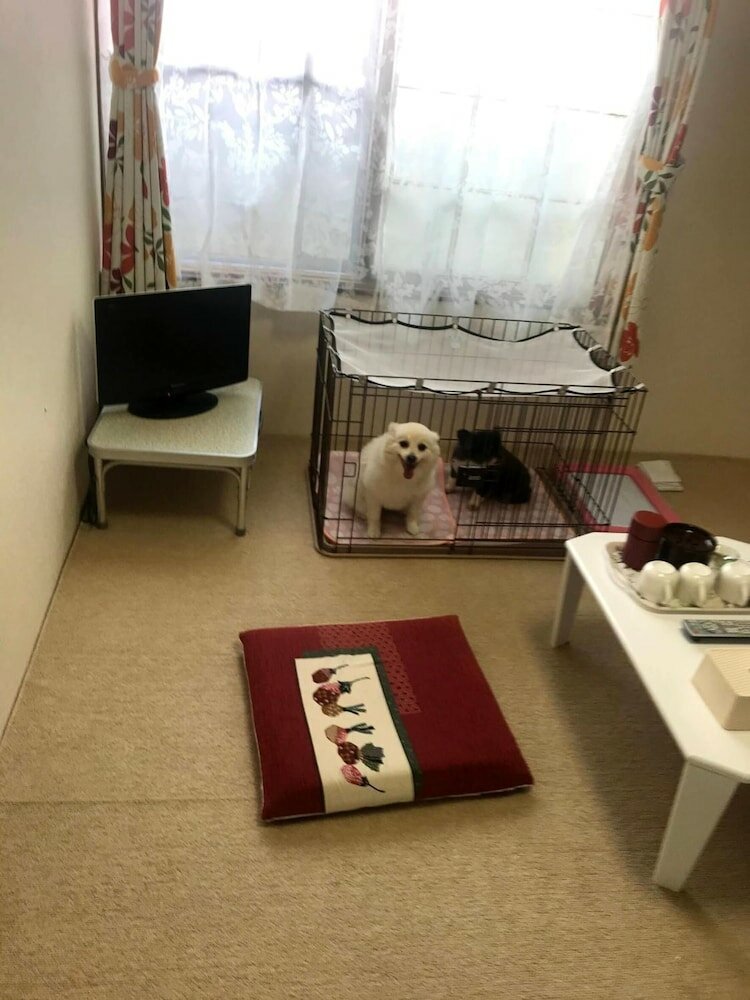 Фото Stay Akeboshi Kan