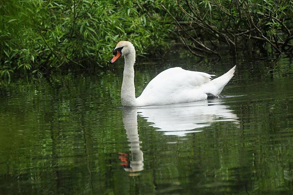 Фото Urbanside Penthouse