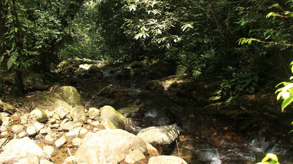 Фото Junglez Eco Hostel