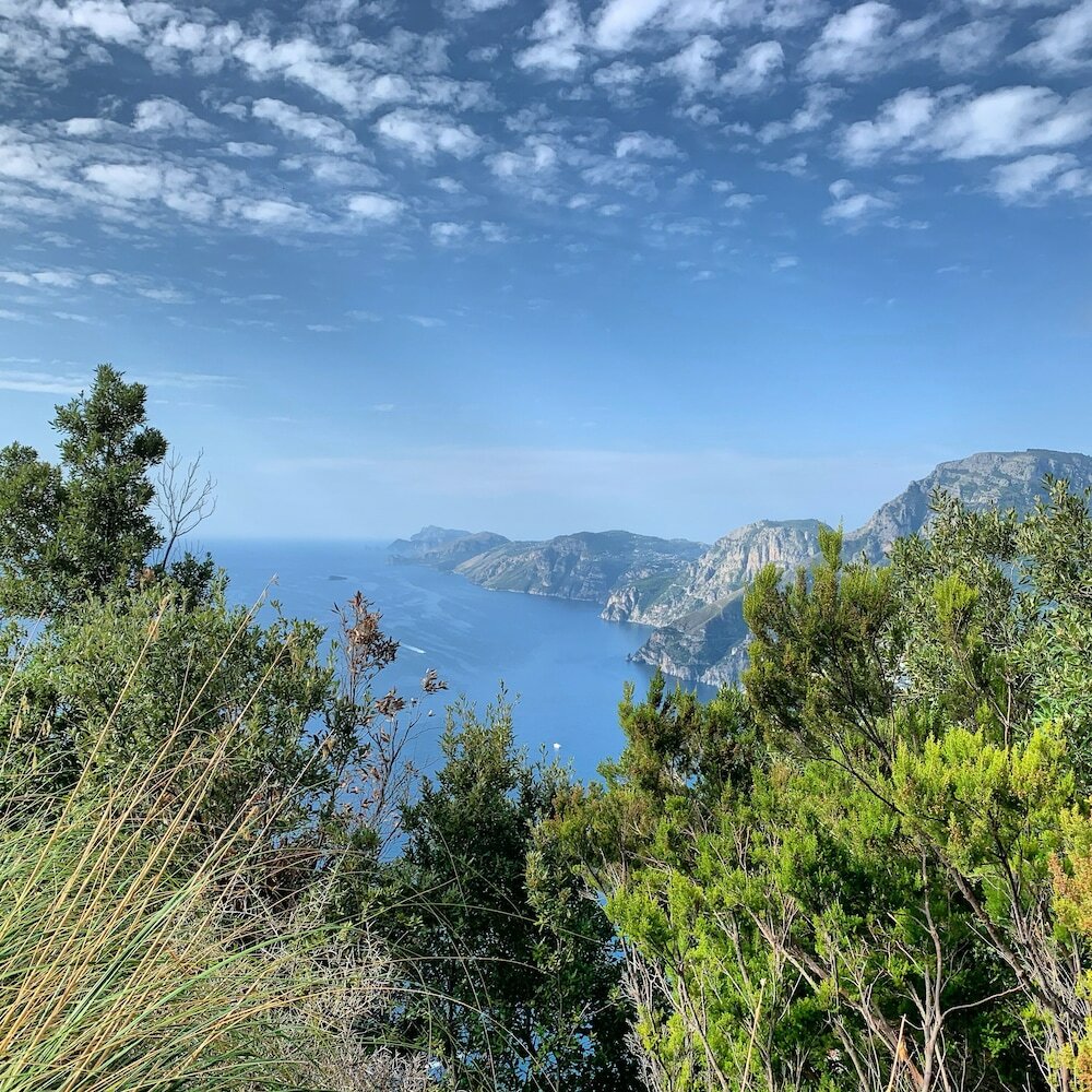 Фото Tenuta Novecento Bio Agriturismo