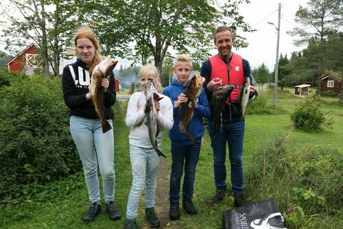 Гостиница Velfjord camping & hytter в Бреннейсунне