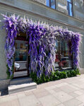 L'Orangerie (Bolshoy Petrogradskoy Storony Avenue, 47) ، محل زهور