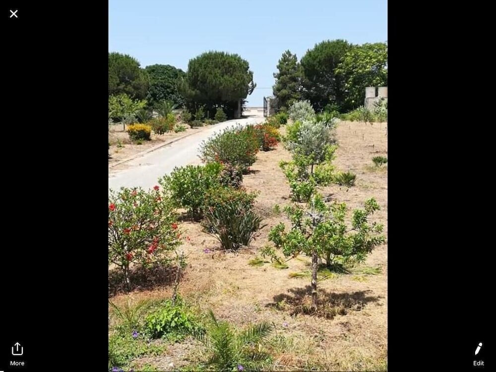 Фото Mediterraneo