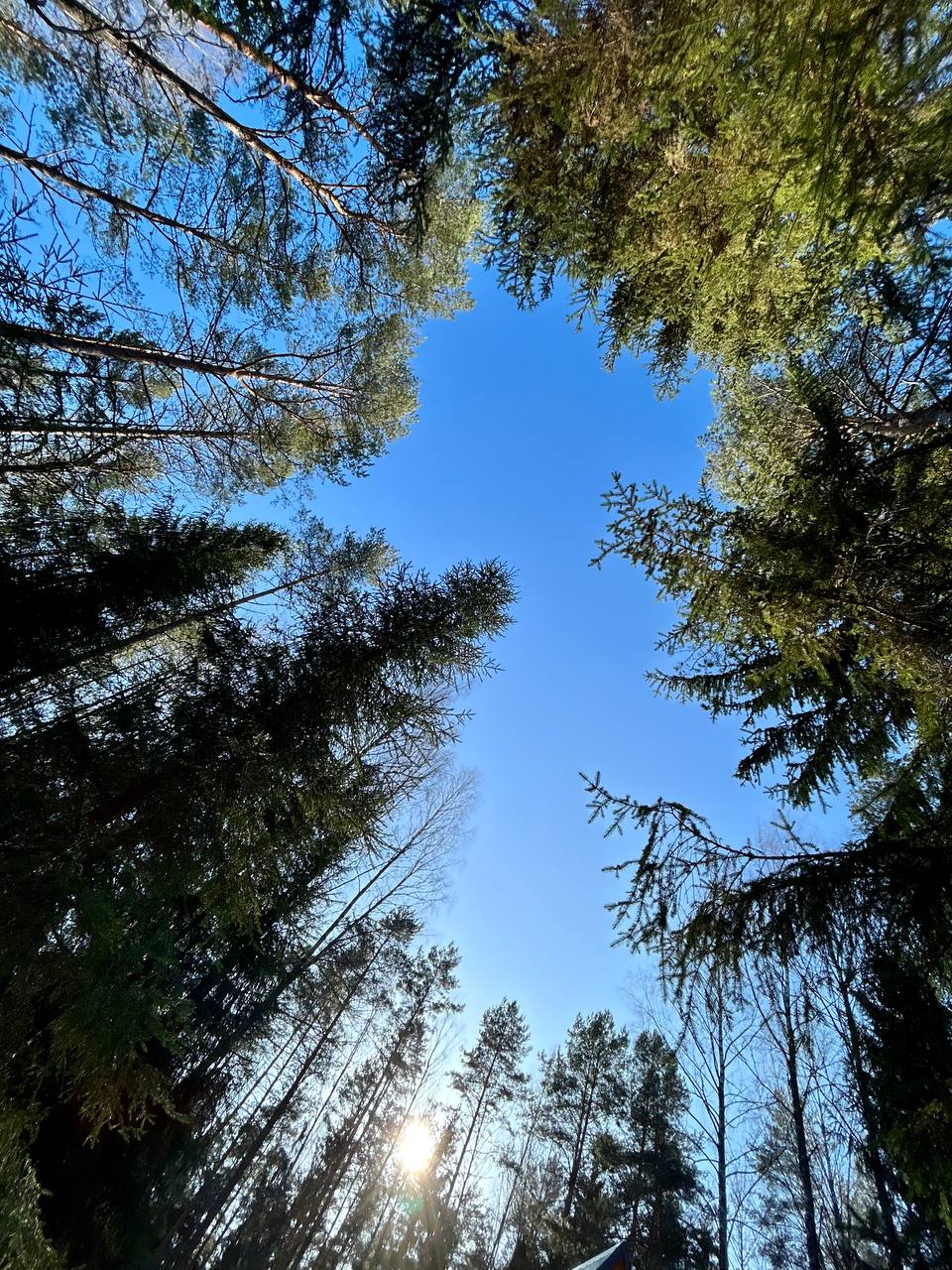 Фото A-frame Friday