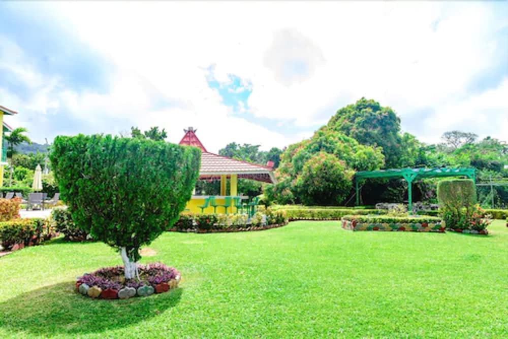 Фото Villa Sonate