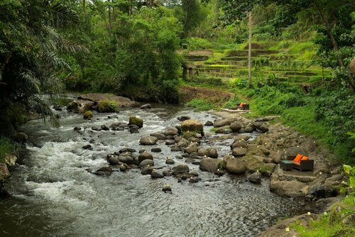 Внешний вид отеля The Samaya Ubud в Саяне, фото 3