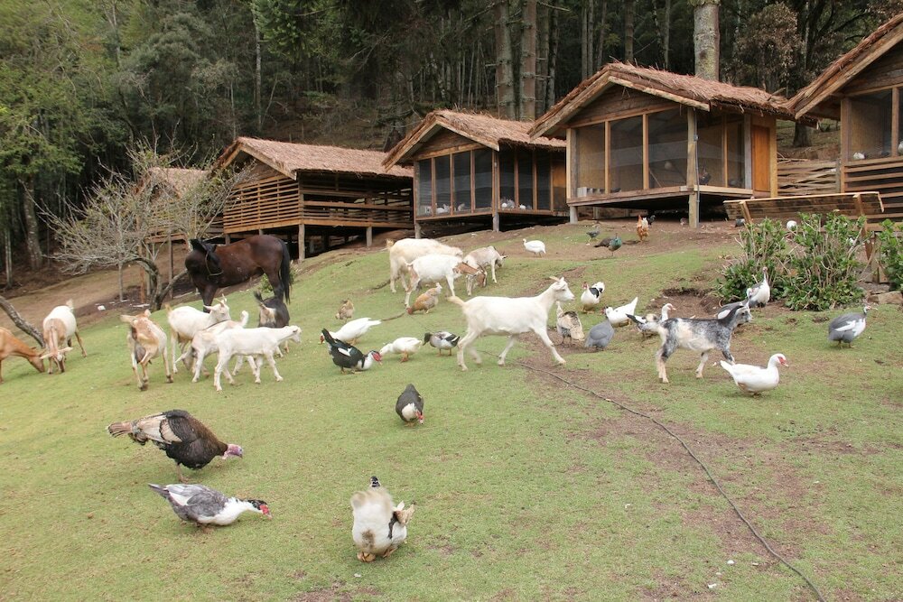 Фото Hotel Toriba