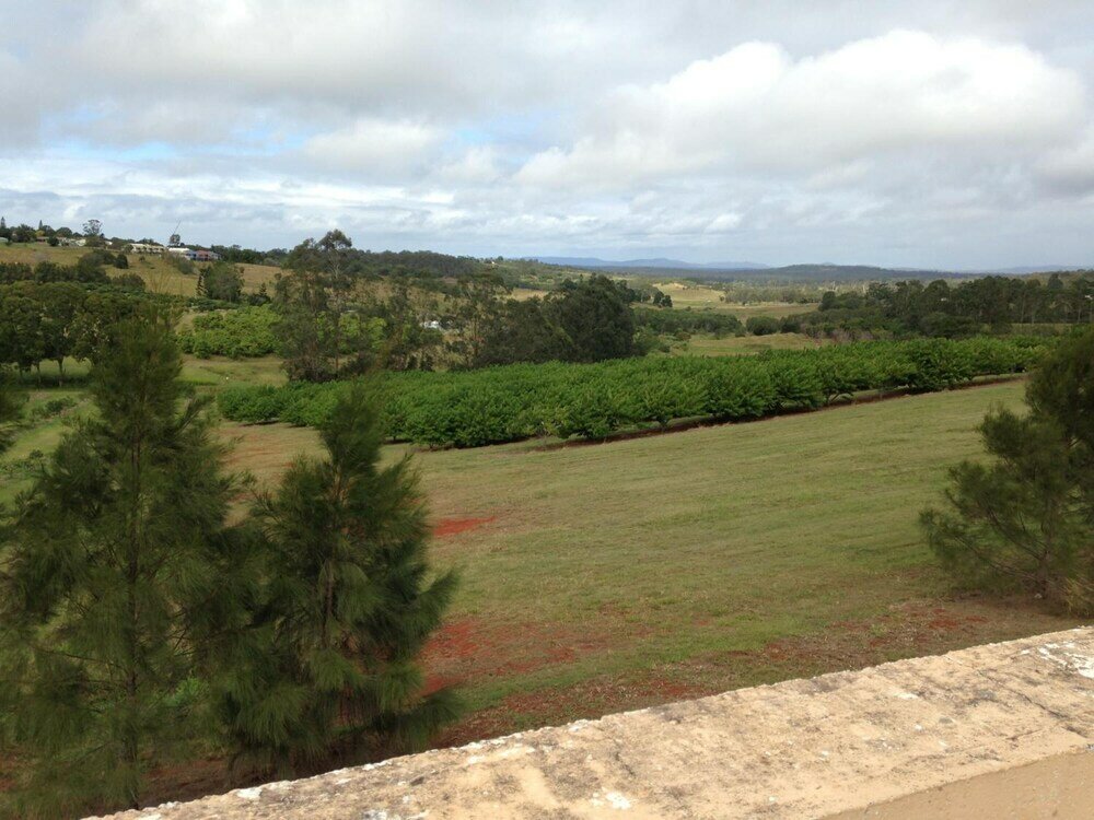 Фото Avocado Motor Inn