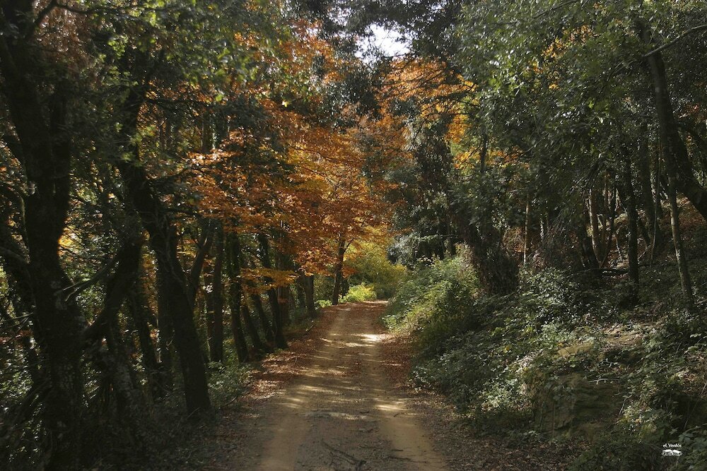 Фото Rusticae El Ventós