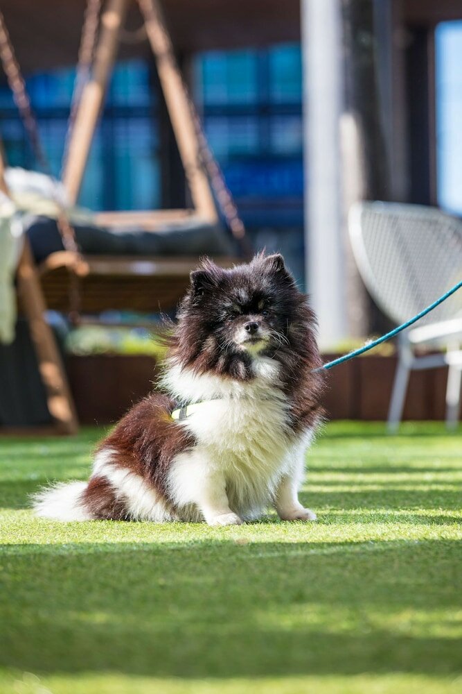 Фото Radisson Blu Hotel, Uppsala