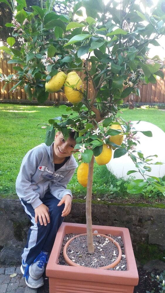 Фото Hotel Jasmin