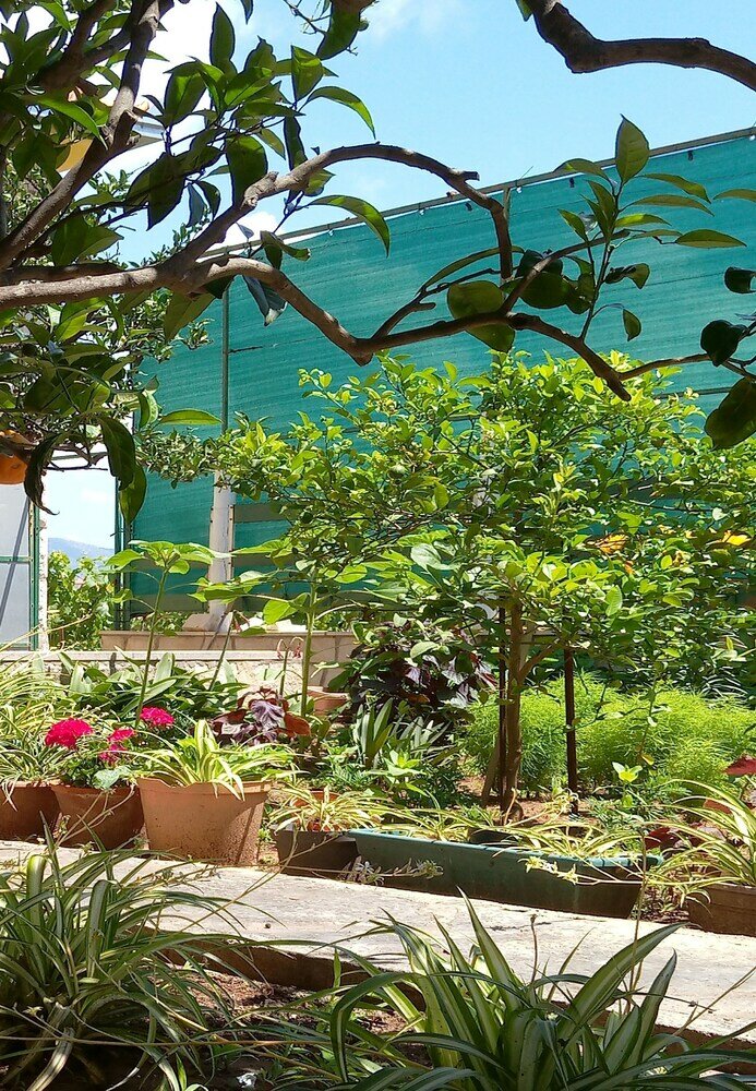 Фото Apartment Kata