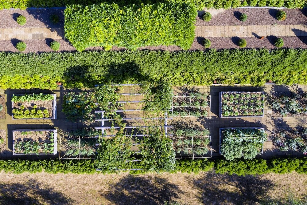 Фото Villa Valentini Bonaparte